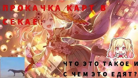 ПРОКАЧКА КАРТ В СЕКАЕ: ЧТО ЭТО ТАКОЕ И С ЧЕМ ЭТО ЕДЯТ?